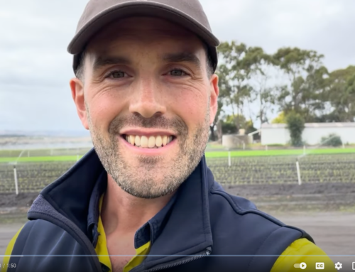 Soil Wealth ICP Tarwin, Vic demonstration site – labile carbon results